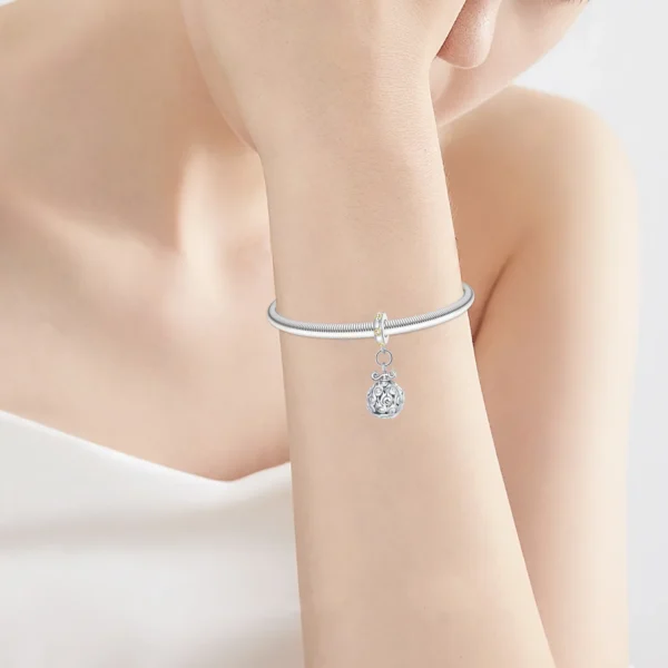 One Piece Pandora Charm